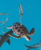 GREEN TURTLE