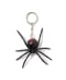 REDBACK SPIDER