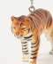 SUMATRAN TIGER