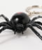 REDBACK SPIDER