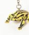 CORROBOREE FROG