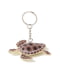 GREEN TURTLE