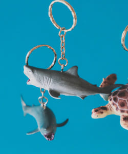 Science and Nature / Animal Keyring