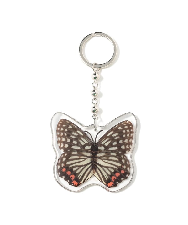 REAL BUG	/ BUTTERFLY KEY CHAINS