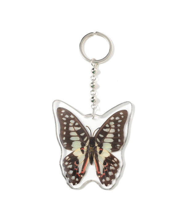 REAL BUG	/ BUTTERFLY KEY CHAINS