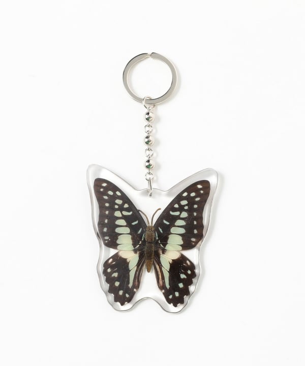 REAL BUG	/ BUTTERFLY KEY CHAINS