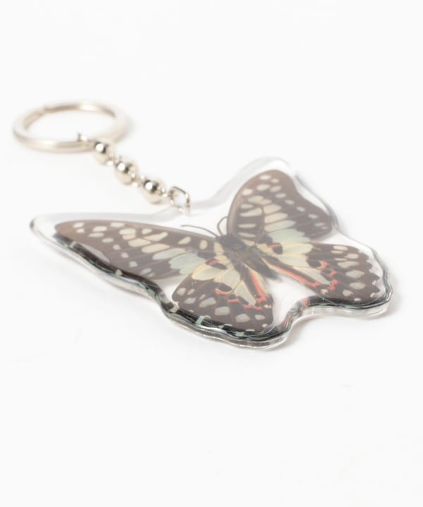 REAL BUG	/ BUTTERFLY KEY CHAINS