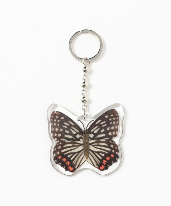 REAL BUG	/ BUTTERFLY KEY CHAINS
