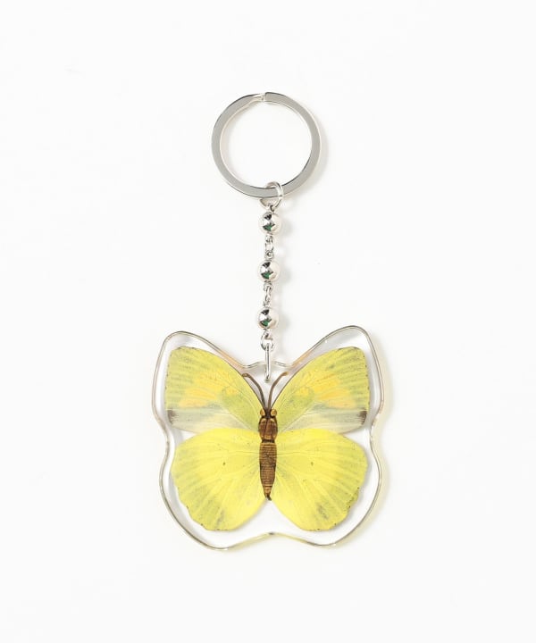 REAL BUG	/ BUTTERFLY KEY CHAINS