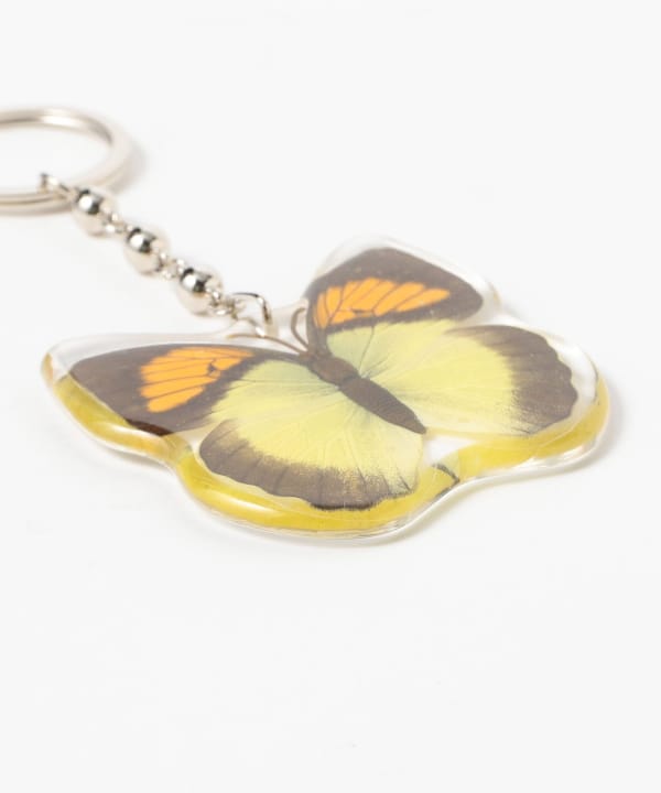 REAL BUG	/ BUTTERFLY KEY CHAINS