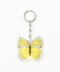 YELLOW ORANGE TIP
