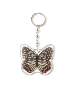 REAL BUG	/ BUTTERFLY KEY CHAINS