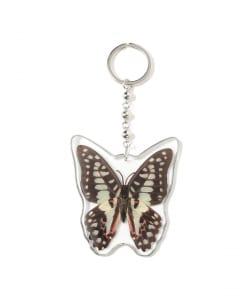 REAL BUG	/ BUTTERFLY KEY CHAINS