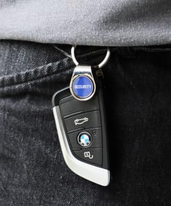 ANAheim / Swivel Keyring