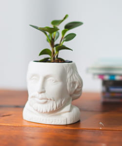 Unemployed Philosophers Guild / BUST PLANTERS プランター