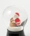 SANTA with TEDDY