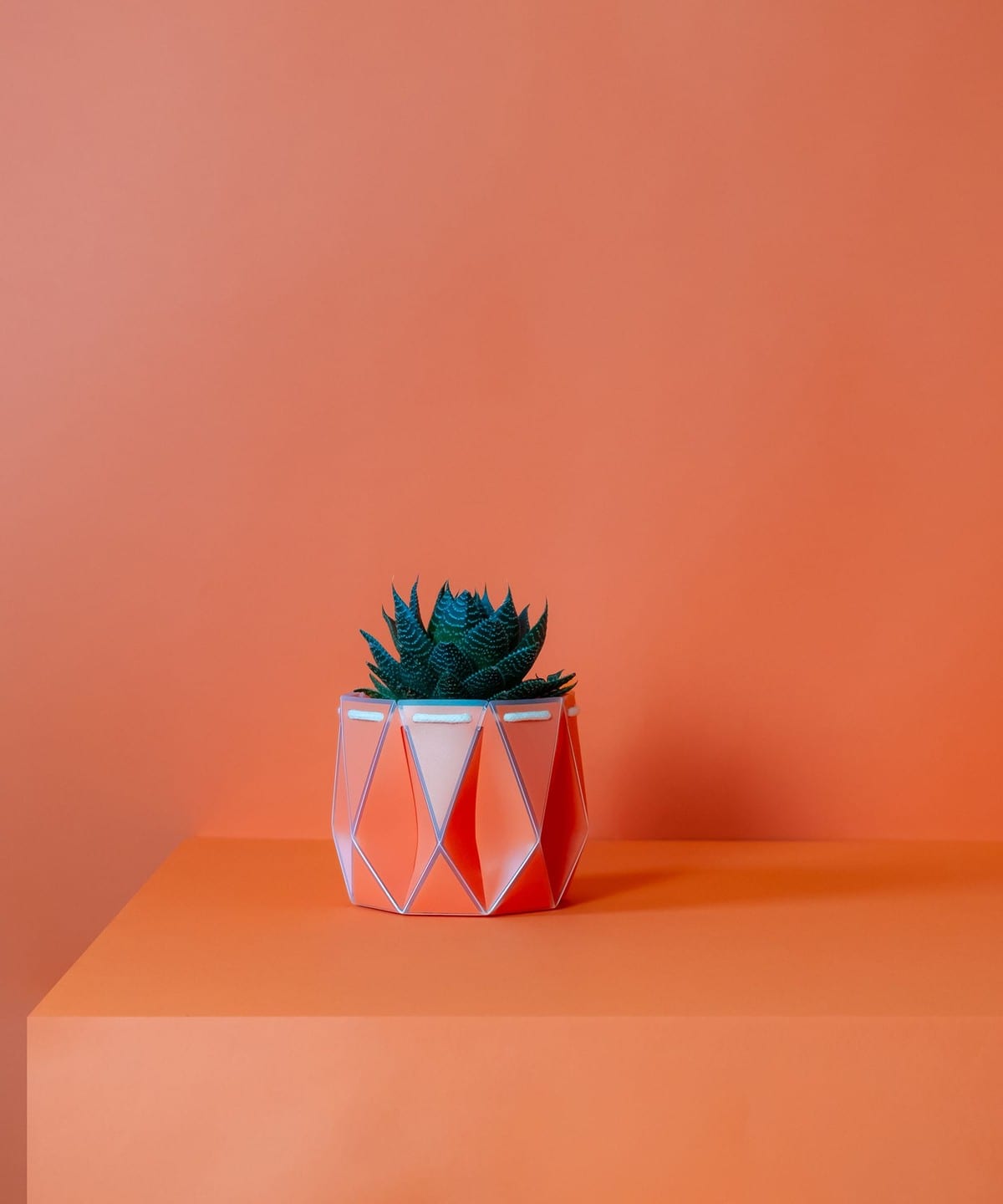 【5/8新規値下げ】POTR / Pot プラントポット 11cm インテリア MEN CORAL ORANGE ONE SIZE 【5/8新規値下げ】POTR / Pot プラントポット 11cm インテリア MEN CORAL ORANGE ONE SIZE