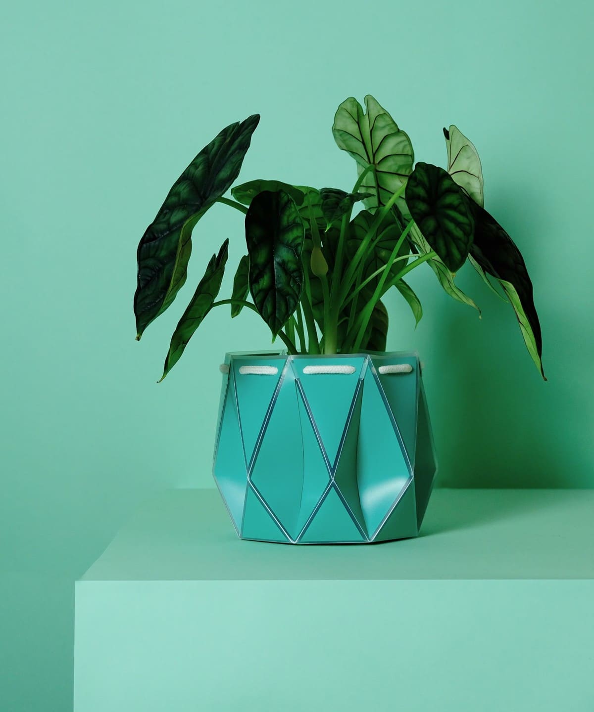 【5/8新規値下げ】POTR / Pot プラントポット 18cm インテリア MEN AQUA BLUE ONE SIZE 【5/8新規値下げ】POTR / Pot プラントポット 18cm インテリア MEN AQUA BLUE ONE SIZE