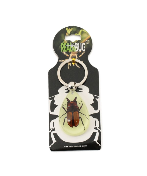 bPr BEAMS（bPrビームス）REAL BUG / DROP KEY CHAIN GLOW IN