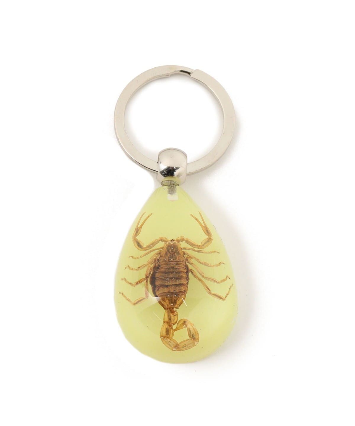 REAL BUG / DROP KEY CHAIN GLOW IN THE DARK 財布・小物 MEN GOLDEN SCORPION ONE SIZE REAL BUG / DROP KEY CHAIN GLOW IN THE DARK 財布・小物 MEN GOLDEN SCORPION ONE SIZE