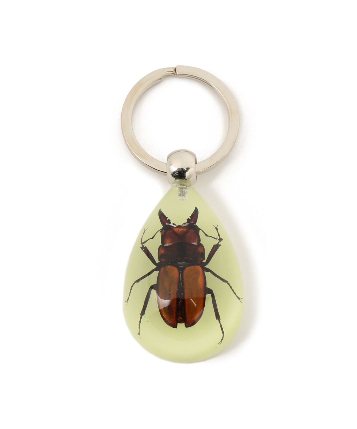 REAL BUG / DROP KEY CHAIN GLOW IN THE DARK 財布・小物 MEN STAG BEETLE ONE SIZE REAL BUG / DROP KEY CHAIN GLOW IN THE DARK 財布・小物 MEN STAG BEETLE ONE SIZE