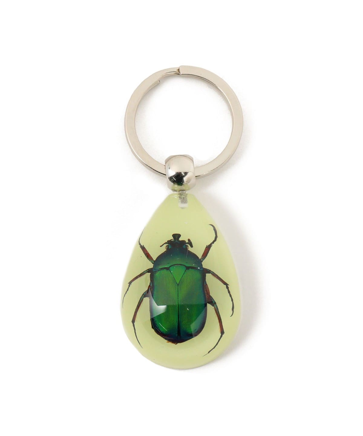 REAL BUG / DROP KEY CHAIN GLOW IN THE DARK 財布・小物 MEN CHAFER BEETLE ONE SIZE REAL BUG / DROP KEY CHAIN GLOW IN THE DARK 財布・小物 MEN CHAFER BEETLE ONE SIZE