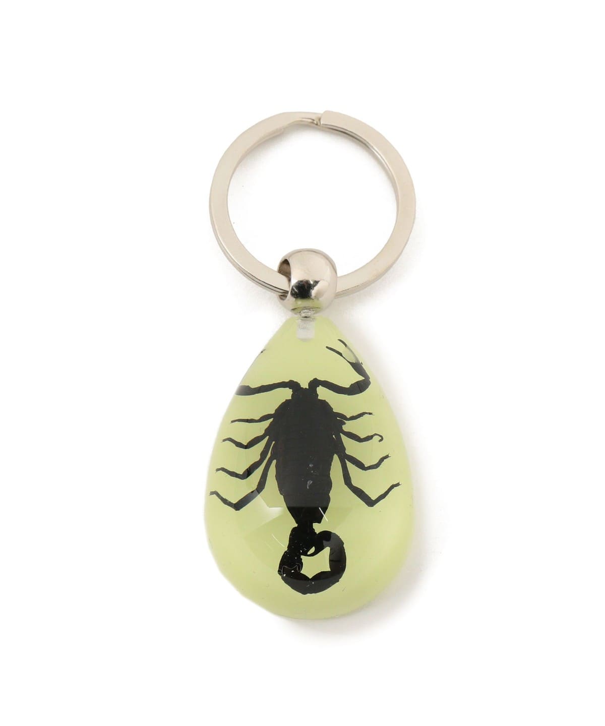 REAL BUG / DROP KEY CHAIN GLOW IN THE DARK 財布・小物 MEN SCORPION ONE SIZE REAL BUG / DROP KEY CHAIN GLOW IN THE DARK 財布・小物 MEN SCORPION ONE SIZE
