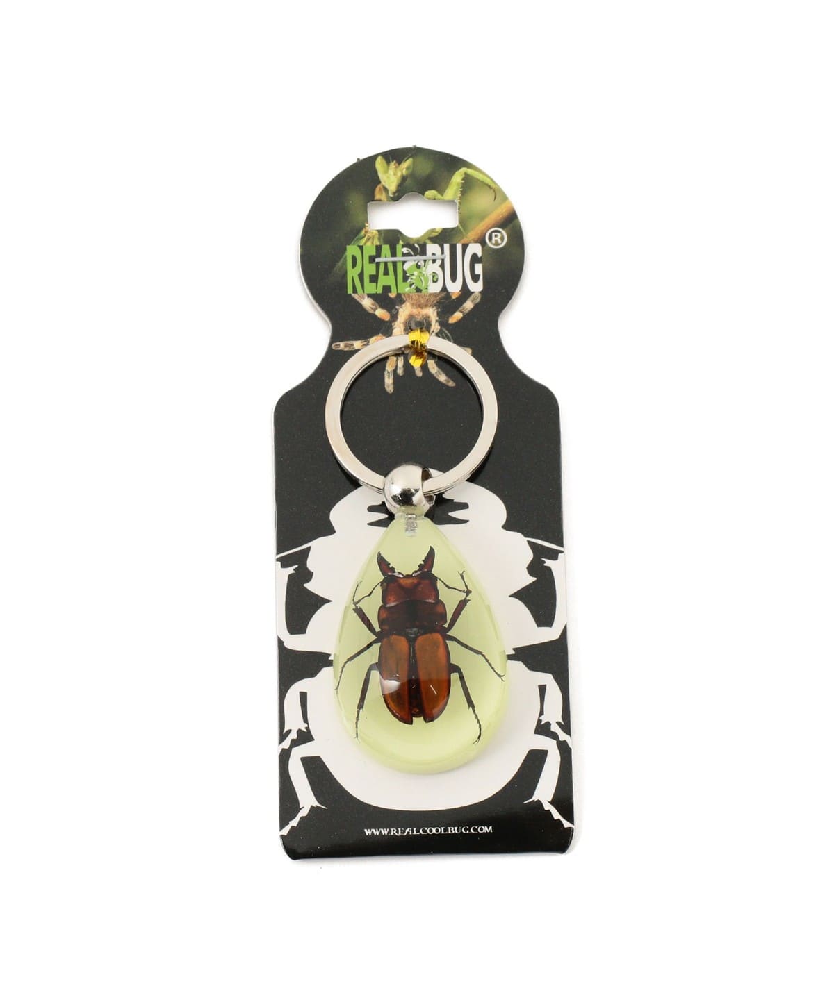 bPr BEAMS（bPrビームス）REAL BUG / DROP KEY CHAIN GLOW IN THE DARK