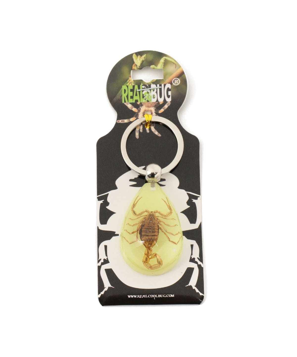 bPr BEAMS（bPrビームス）REAL BUG / DROP KEY CHAIN GLOW IN THE DARK