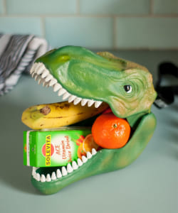 SUCK UK / Dinosaur Case