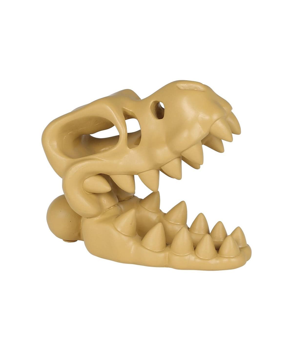 DULTON / SKELETON HEAD T. REX インテリア MEN T-REX ONE SIZE DULTON / SKELETON HEAD T. REX インテリア MEN T-REX ONE SIZE