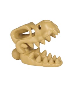 DULTON / SKELETON HEAD T.REX