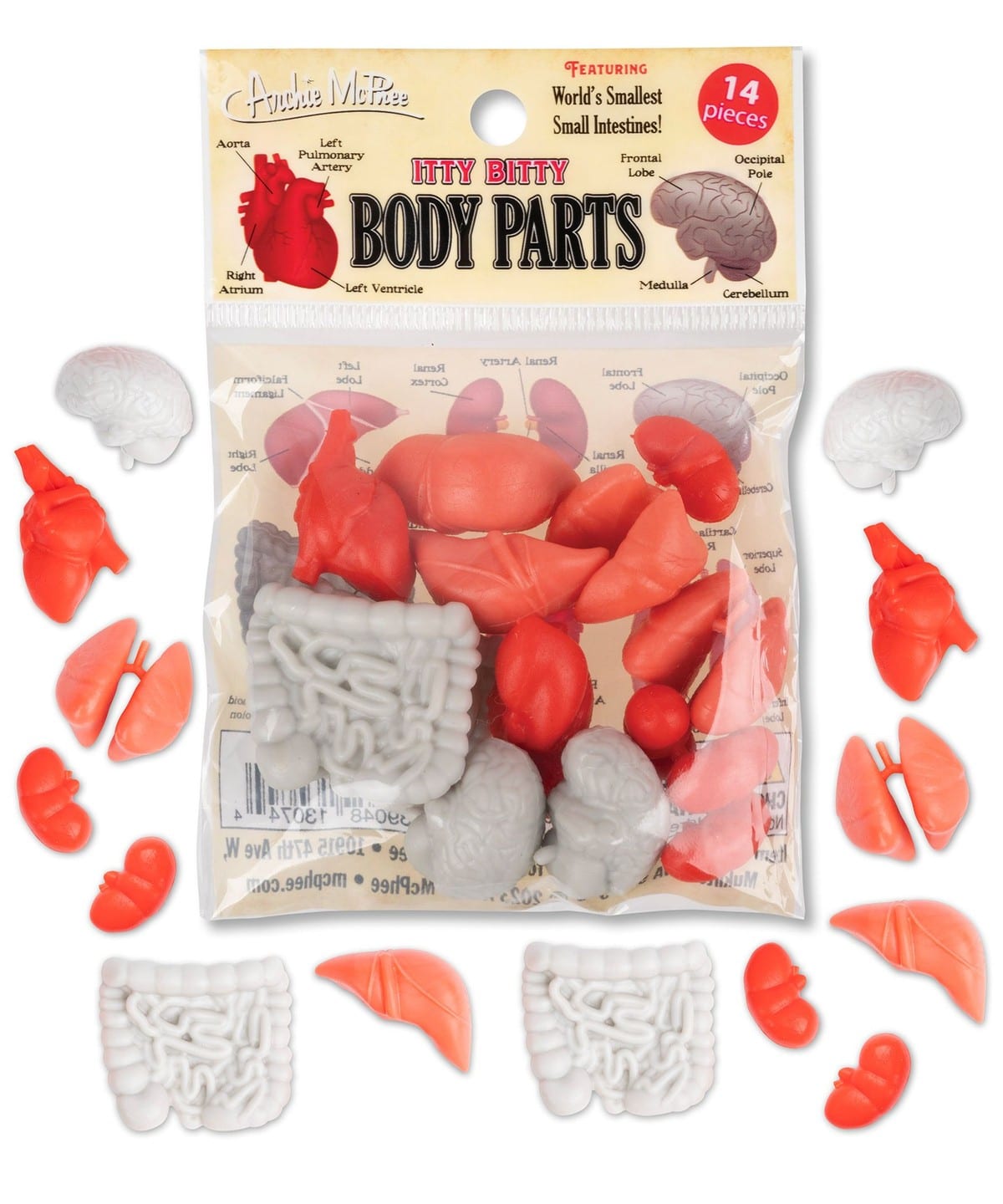 Archie McPhee / ITTY BITTY 雑貨・ホビー MEN BODY PARTS ONE SIZE Archie McPhee / ITTY BITTY 雑貨・ホビー MEN BODY PARTS ONE SIZE