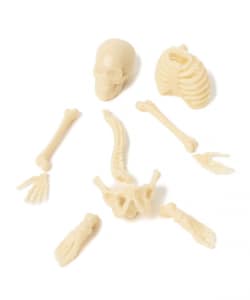 Archie McPhee / ITTY BITTY
