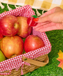 Jenny Lemons / Mini Hair Claw Clip