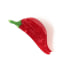 CHILI PEPPER