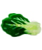 BOK CHOY