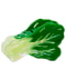 BOK CHOY