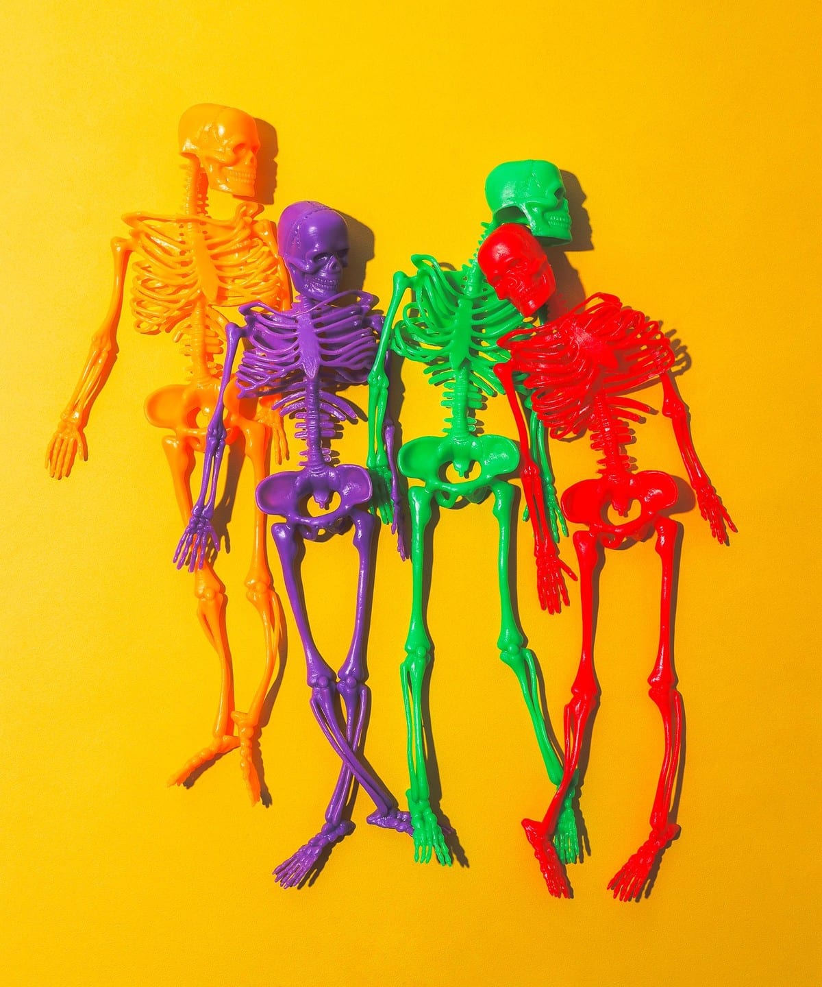 bPr BEAMS（bPrビームス）インストゥルメンタル / NEON SKELTONS（雑貨