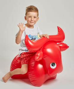 Fatra / Inflatable Toy