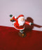 ICE SKATE