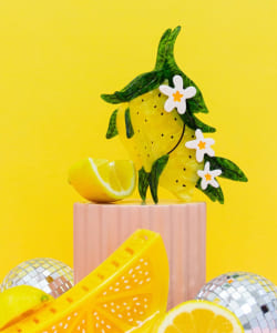 Jenny Lemons / Hair Claw Clip XLarge