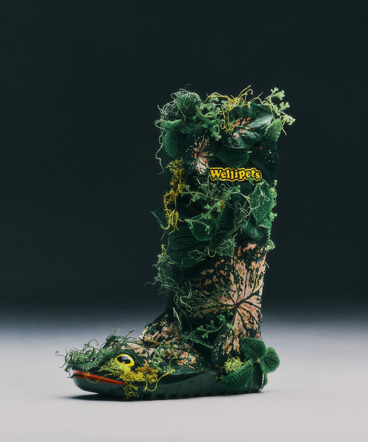 bPr BEAMS（bPrビームス）Wellipets / Frog Wellies（シューズ レイン