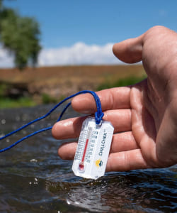 SUN COMPANY / CHILL CHECK 防水温度計