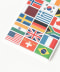 WORLD FLAG