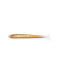 BROW TROUT