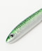 MACKEREL