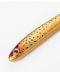 BROW TROUT