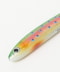 BROOK TROUT