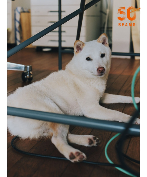 【別注】SUBU / FAKE MOUTON サンダル